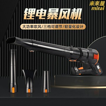 【鋰電大功率】暴風槍 吹風機 鼓風機 除塵槍 吹雪機 吹葉機 手持吹風機 工業級風力 快速除水除塵 庭院車間清潔神器