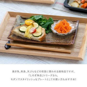 現貨 日本 美濃燒 居酒屋同款 燒烤 小菜盤 五色 前菜 壽司 沙拉 刺身盤 烤物盤 方盤 線條長盤 日本進口