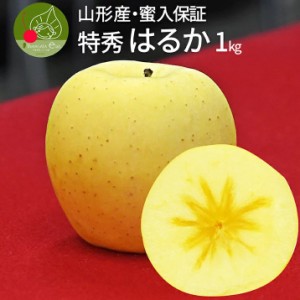 りんご 蜜入り はるか 1kg 約3～5玉 山形県産 フルーツ入 贈答用 化粧箱入り ギフト 弾ける甘い香り