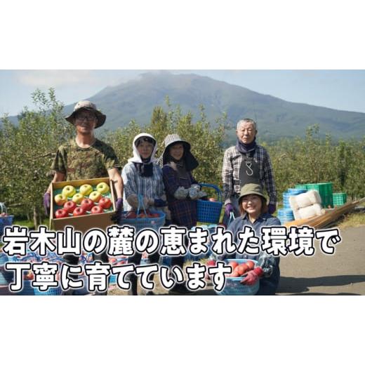 ふるさと納税 青森県 弘前市 家庭用 旬のリンゴ詰め合わせ 約10kg糖度13度以上