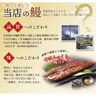 ふるさと納税 鰻 うなぎ 蒲焼 中国産   うなぎ蒲焼 2尾 計約480g （タレ・山椒付き）1尾で約240gのビッグサイズ 鰻 うなぎ うなぎ.. 和歌山県串本町