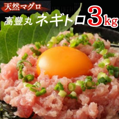 ふるさと納税 室戸市 高豊丸ネギトロ3kg