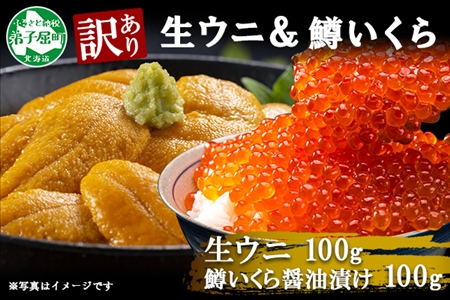 1260.訳あり うに チリ産 冷凍 鱒 いくら 醤油漬け ウニ100g マスいくら 100g 雲丹 不揃い うに わけ あり 海鮮 丼 海鮮丼 刺身 うに丼 いくら丼 魚卵 自宅用 送料無料 北海道 弟子屈町