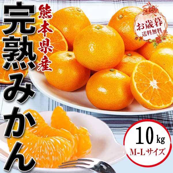 完熟 みかん 10kg 贈答用 ギフト M-L サイズ混合 熊本県産 フルーツ 果物 オレンジベルト 熨斗可 お取り寄せ 送料無料