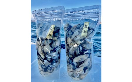 北海道 湧別町 サロマ湖産 1年牡蠣剥き身1kg（500g×2） カキ  生ガキ むき牡蠣    サロマ湖 オホーツク