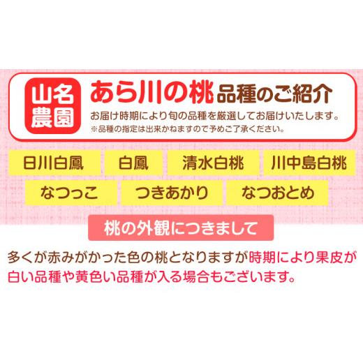 ふるさと納税 和歌山県 紀の川市 あら川の桃 約4kg 9-12玉 山名農園 《2024年6月下旬-9月中旬より順次出荷》 和歌山県 紀の川市 桃 もも モモ 白鳳 白桃 フル…