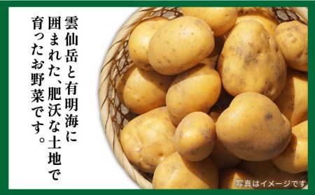 地元の農家さんが収穫した旬のお野菜 詰め合わせセット 地元の農家さんが収穫した旬のお野菜 詰め合わせセット 野菜定期便 野菜詰め合わせ    南島原市    ミナサポ[SCW046]