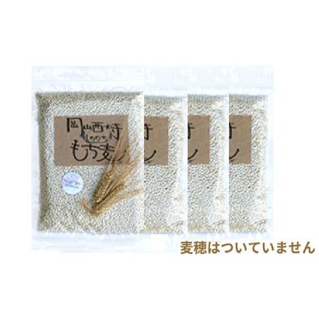 ふるさと納税 令和5年産 岡山西大寺の幸せもち麦(キラリモチ) 数量限定 2kg(500g×4) 岡山県岡山市