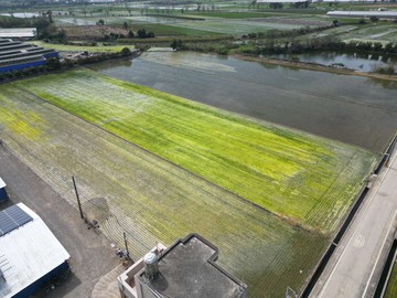 嘉義新港 l 後底湖平整六分田｜嘉義縣新港鄉後底湖段後底湖小段