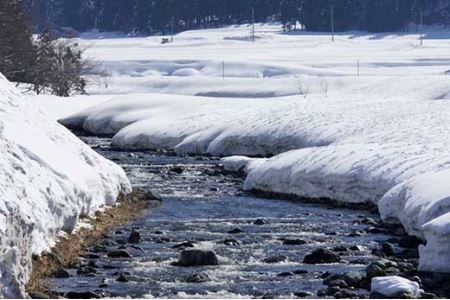 特別栽培米南魚沼産こしひかり「雪穂」20kg