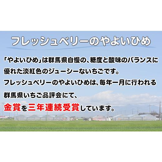 ふるさと納税 群馬県 玉村町 群馬県やよいひめ（いちご）約900g