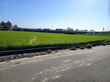 烏日溪南｜超大面寬雙面路方正農地(阿傳)｜台中市烏日區溪南西段