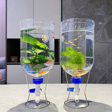 養魚必備🐟️水桶魚缸 有趣的魚缸 水族生態缸 水桶養魚 透明水桶生態缸 水桶變缸製作家用缸 5升透明桶改裝生態瓶養魚支