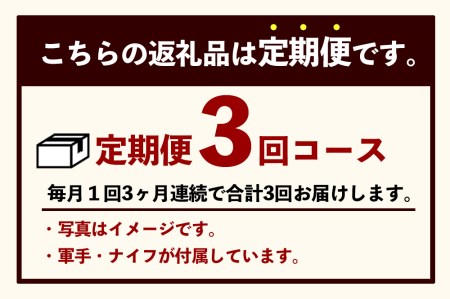 通年受付！　いつでもお届けブランド牡蠣づくし 3か月連続　※配送不可地域：北海道、沖縄県※