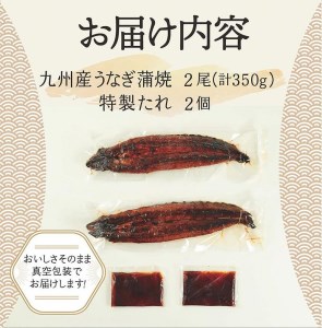 国産うなぎ蒲焼 2尾 約350g