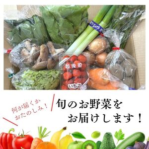 直売所からお届け！旬の野菜セット（8～10品詰め合わせ）新鮮な野菜直送便