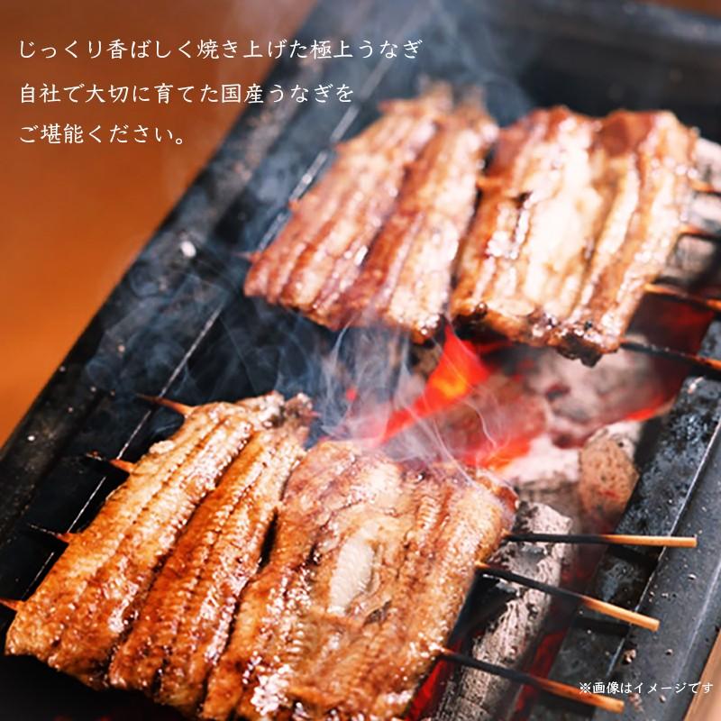 うなぎ 鰻の蒲焼き 大サイズ(170g×2尾）国産 熊本県産 ギフト 内祝い 化粧箱  贈り物 ギフト グルメ プレゼント お中元 父の日