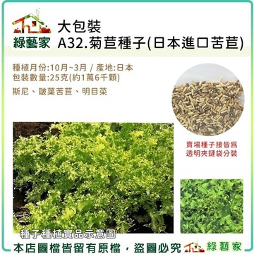 【綠藝家】00A32.大包裝菊苣種子25克(日本進口苦苣) 斯尼、皺葉苦苣、明目菜 葉菜類種子大包裝