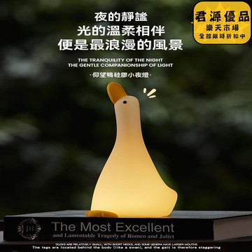 小夜燈 仰望鴨拍拍小夜燈 創意小夜燈 小眾小夜燈 高級感小夜燈  床頭燈 氛圍燈 夜燈 氣氛燈 拍拍燈