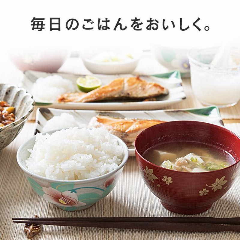 ななうるち米精米 米 300g 無洗米 生鮮米 一人暮らし お米 精白米 うるち米 なな