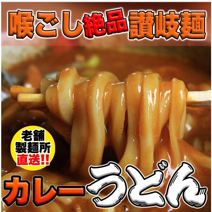 讃岐の製麺所が作る、レンジで簡単！辛すぎないスパイシーなカレーうどん4食(180g×4)