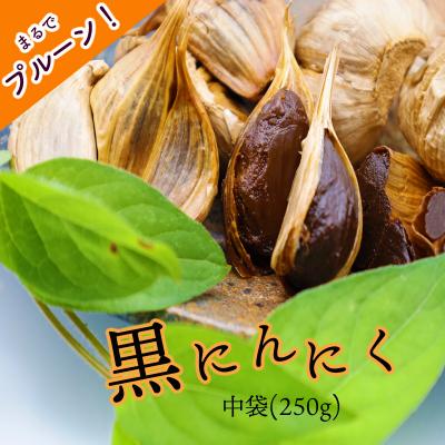 ふるさと納税 いの町 黒にんにく「土佐の隠し玉」　1袋×250g