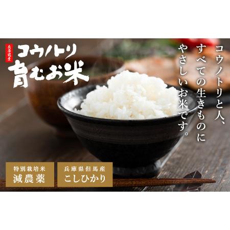 ふるさと納税 コウノトリ育むお米（減農薬）パックご飯200ｇ　24食入り 兵庫県豊岡市