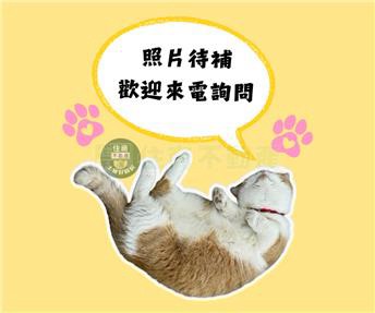 【好時居育家】大同景觀三房雙平車｜新北市土城區莊園街