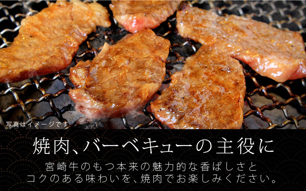 宮崎牛 ロース焼肉 500g