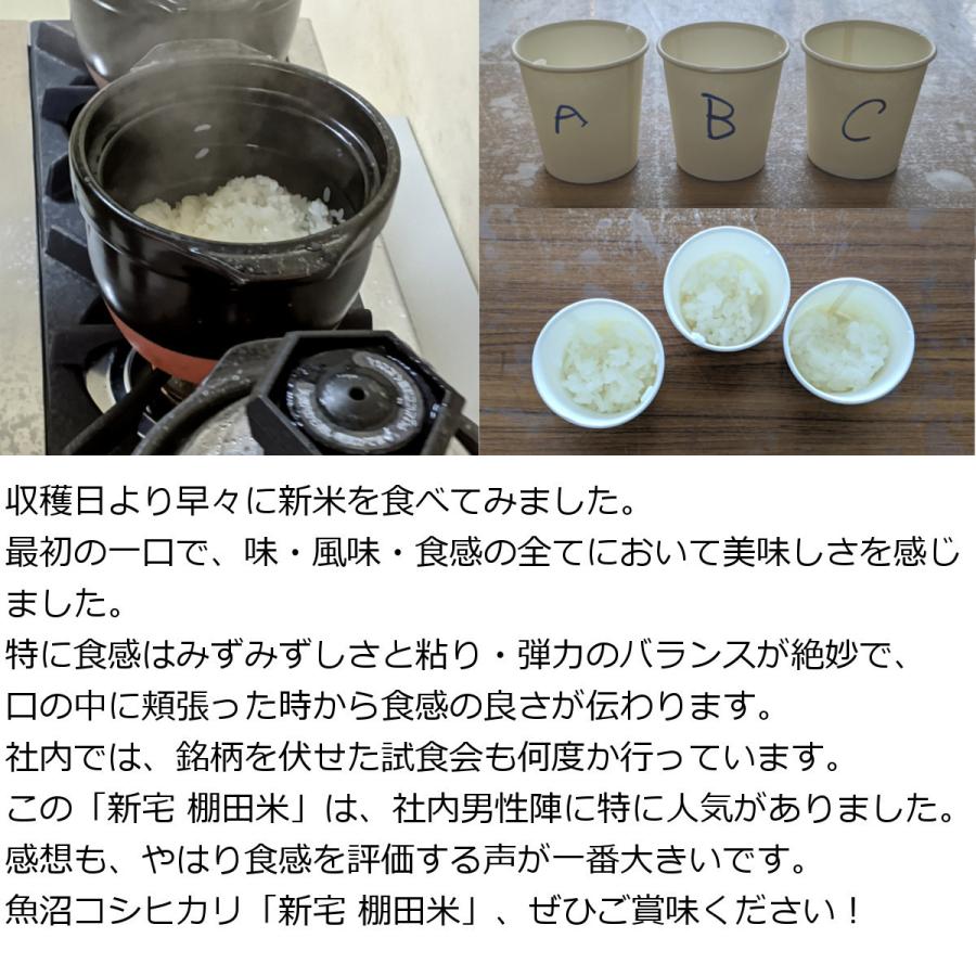 新潟県 十日町市産 魚沼コシヒカリ 新宅棚田米 令和5年産 玄米 10kg