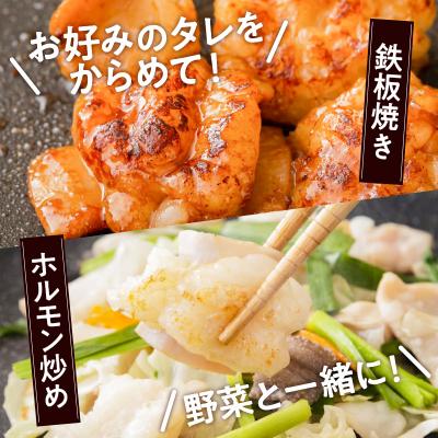 ふるさと納税 鹿児島市 黒毛和牛小腸300g入り×2パック