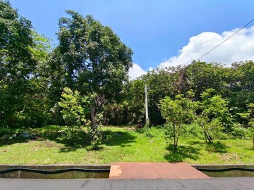 超人媽咪✨獨家!石岡水壩旁有水電|地勢平坦臨路農地｜台中市石岡區新岡尾段