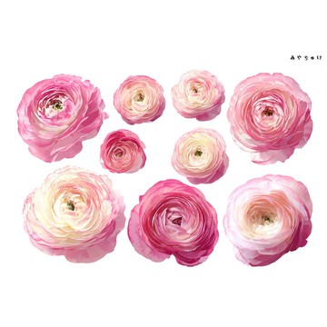 【10月新品4】20-22-0205 裁切紙・拼貼素材 陸蓮花