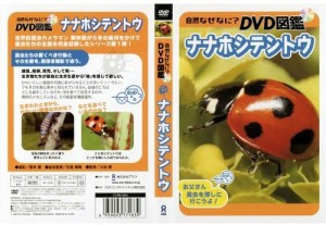 自然なぜなに DVD図鑑 ナナホシテントウ 中古DVD レンタル落ち