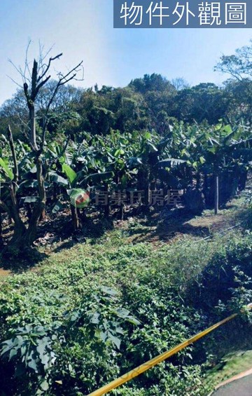 ☪淡水區林子段二期一土地【臨路.有農作.一分之一】｜新北市淡水區林子段
