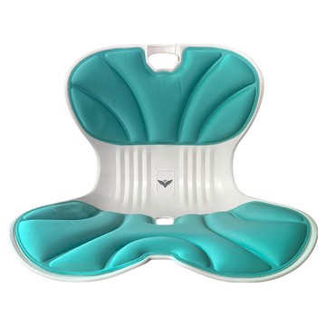 HUNTAI 宏泰 護腰坐墊  顏色隨機  40 x 33 x 50cm