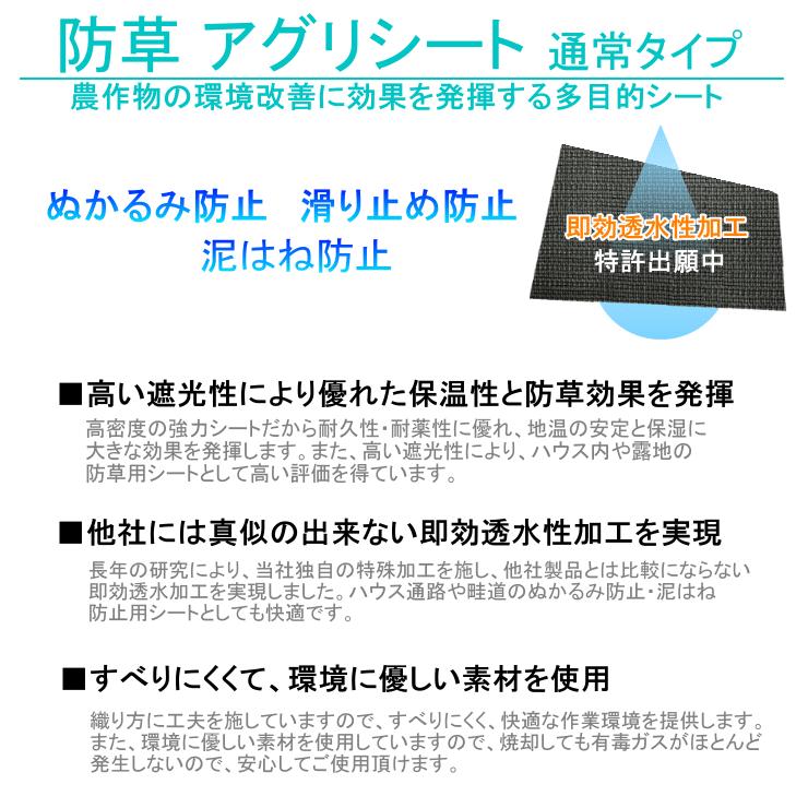 防草シート アグリシート すべりにくい2x100m日本ワイドクロス 個人宅別途送料 BB1515