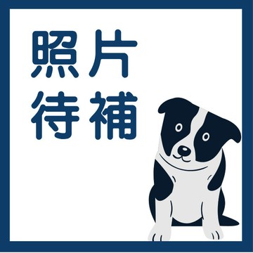 <麗文校園購>國立臺灣大學醫學院附設醫院內科部專科護理師工作手冊 何奕倫, 陳佳慧總編輯  9786267214947