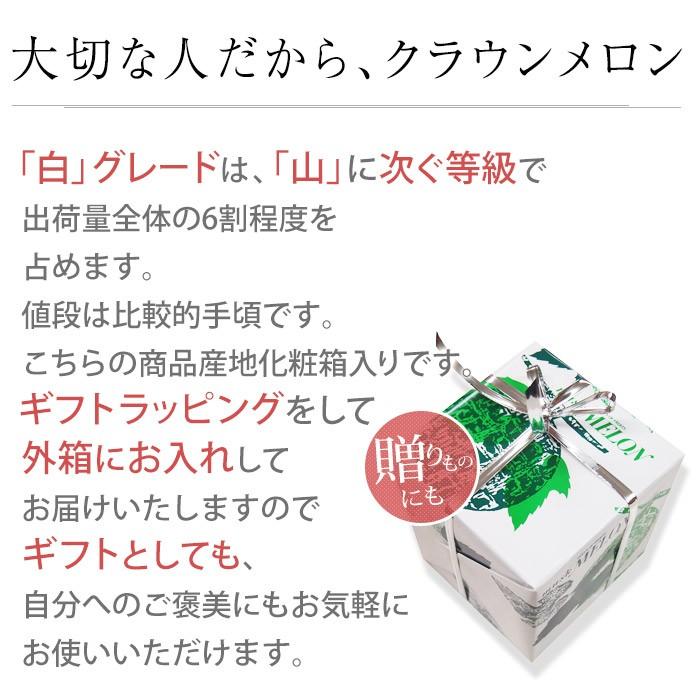 メロン 静岡県産 クラウンメロン 1個 等級：白 1.3kg以上 化粧箱入