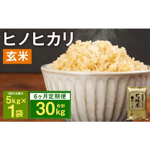 ふるさと納税 熊本県 菊池市 熊本県菊池産 ヒノヒカリ 5kg×6回 計30kg