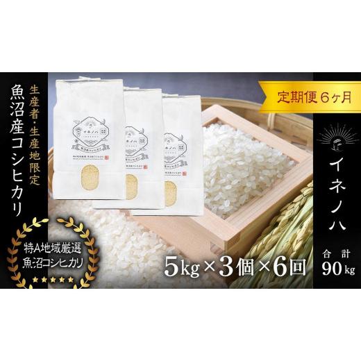 ふるさと納税 新潟県 十日町市 ＜定期便・全6回＞魚沼産コシヒカリ「イネノハ 」精米(5kg×3)×6回