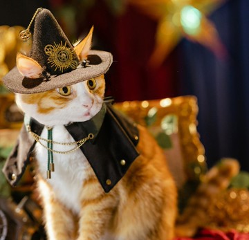 【貓咪法師帽】蒸汽大陸復古 寵物造型道具