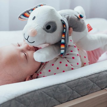 我一直都在【荷蘭ZAZU好朋友】心跳好朋友 (共5款可選) 生日禮 新生兒禮 彌月禮 寶寶 媽媽 快樂成長