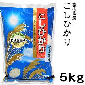 米 日本米 Aランク 令和4年度産 富山県産 こしひかり 5kg