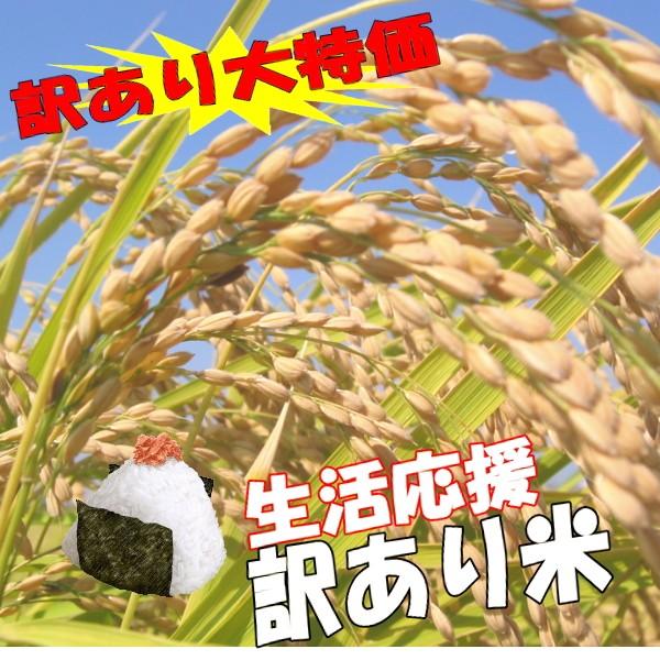 訳あり 新潟県産 中米 コシヒカリ 10kg 従来コシヒカリ 令和5年産