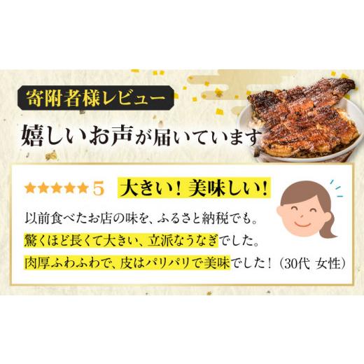 ふるさと納税 岐阜県 多治見市  うなぎ 蒲焼き 2尾 × 3回 計6尾  [TDD005]