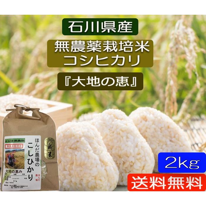 令和5年産 新米 無農薬栽培米 こしひかり白米 2kg お米  自然農法  「大地の恵」