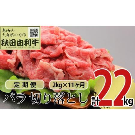 ふるさと納税 《定期便》11ヶ月連続 秋田由利牛 バラ切り落とし 2kg（1kg×2パック） 秋田県にかほ市