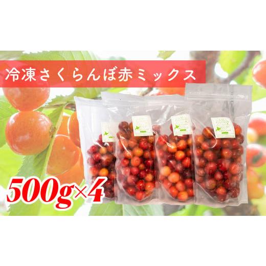 ふるさと納税 北海道 芦別市 冷凍さくらんぼ赤ミックス（５００ｇ×４パック）