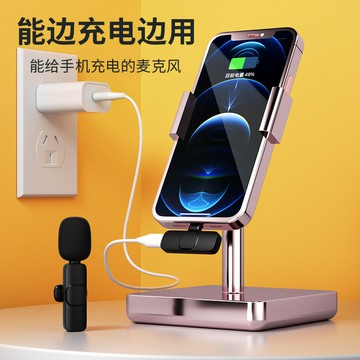 跨境無線領夾麥克風一拖二收音拍攝直播視頻網紅主播降噪混響話筒【宜家良品百貨】